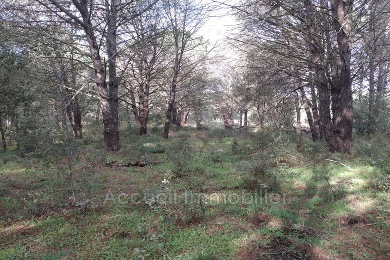 Terrain - 10 000 m²