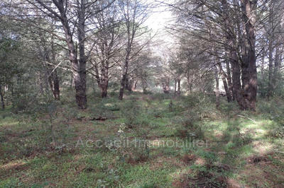 Terrain - 10 000 m²