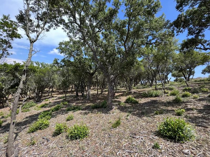 Terrain - 25 956 m²