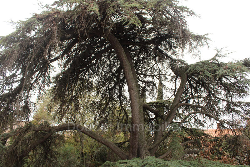 Demeure - 250 m² - 8 pièces