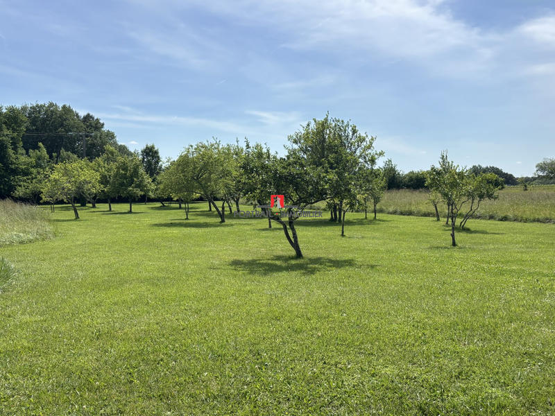 Maison - 175 m² - 6 pièces