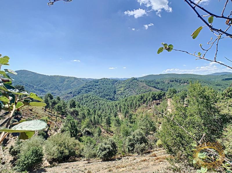 Maison ancienne - 167 m² - 6 pièces