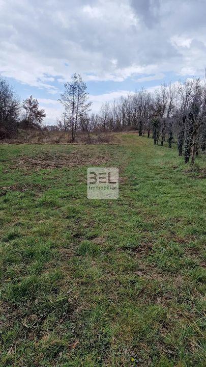 Terrain agricole - 4 625 m²