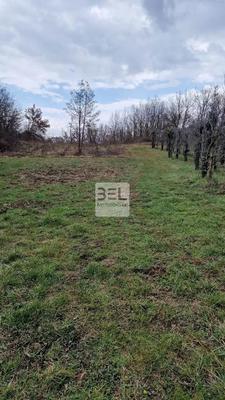Terrain agricole - 4 625 m²