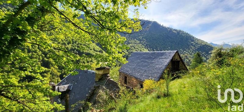 Maison de campagne - 100 m² - 3 pièces
