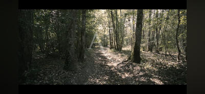 Terrain - 243 800 m²