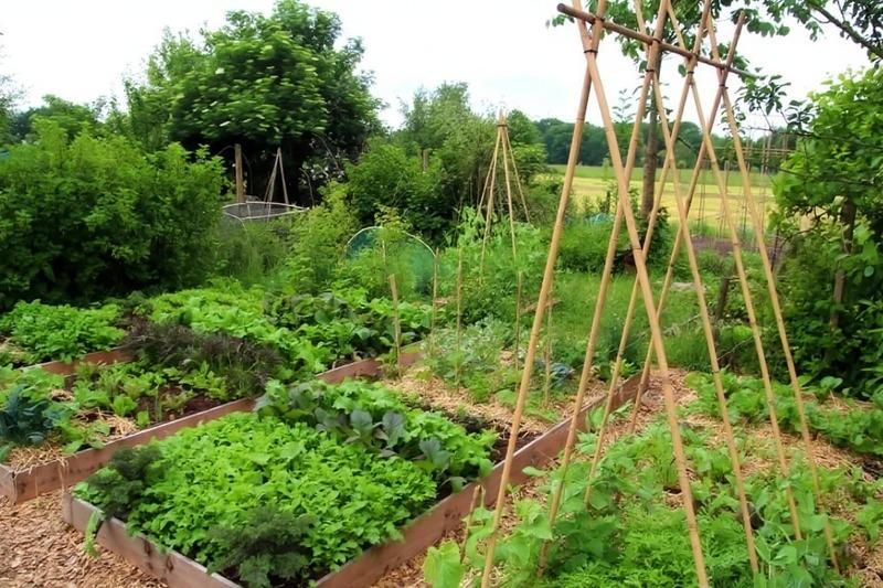 Ferme - 245 m² - 8 pièces