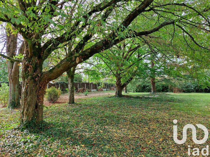 Maison de maîtres - 336 m² - 12 pièces