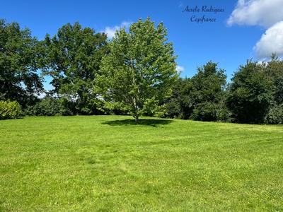 Terrain constructible - 826 m²