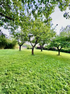 Terrain constructible - 1 000 m²