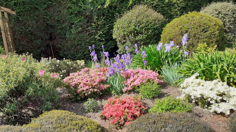 Appartement - 239 m² - 10 pièces