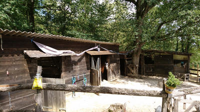 Maison - 205 m² - 7 pièces