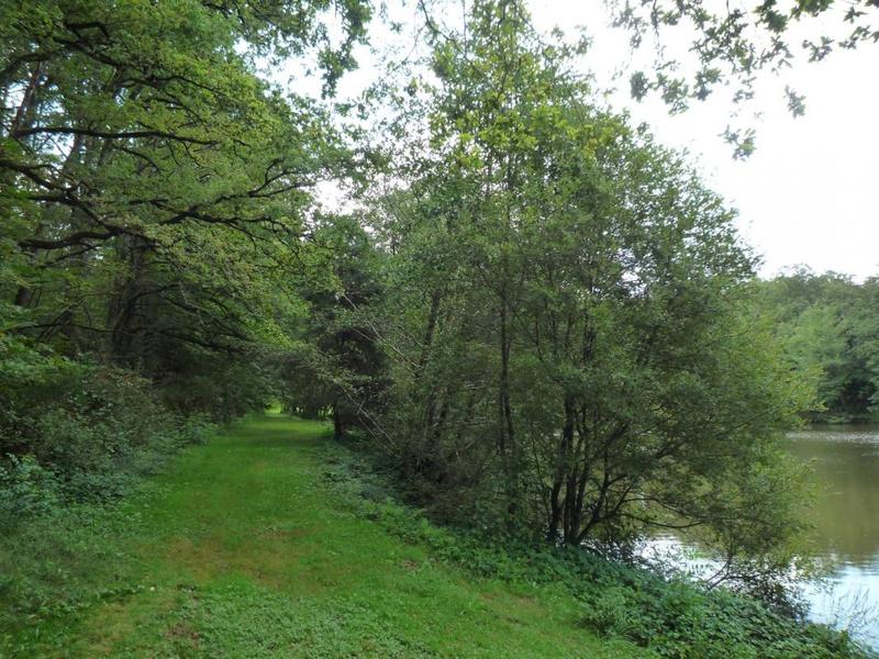 Terrain - 41 380 m²