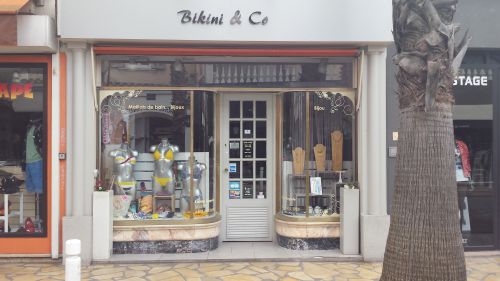 Bikini &amp; Co