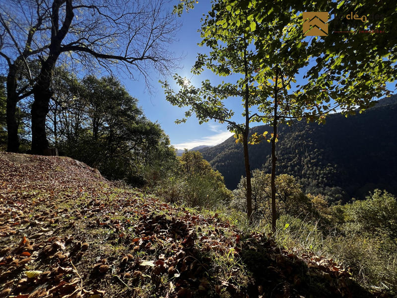 Maison ancienne - 98 m² - 4 pièces