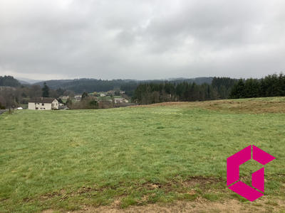 Terrain - 21 360 m²