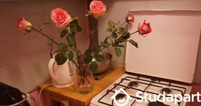 Appartement - 27 m² - 1 pièce