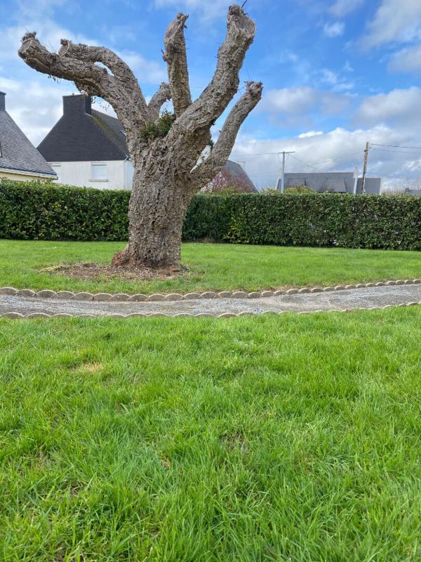 Terrain constructible - 281 m²