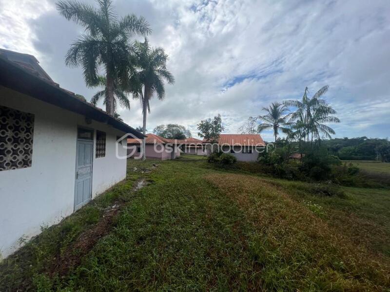 Immeuble - 1 429 m² - 25 pièces