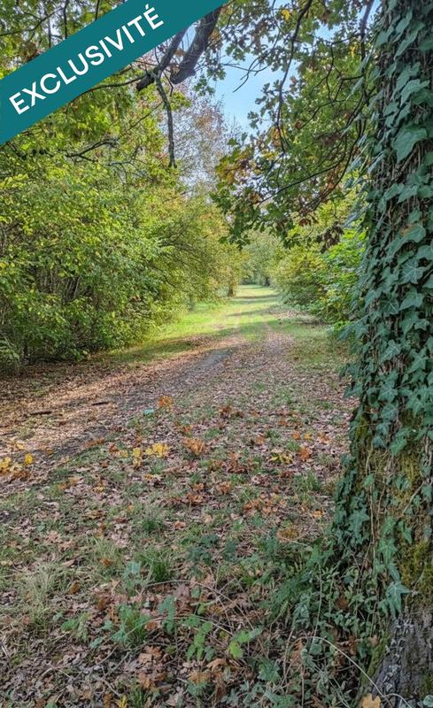 Terrain - 697 767 m²