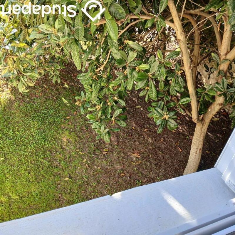 Maison - 56 m² - 2 pièces