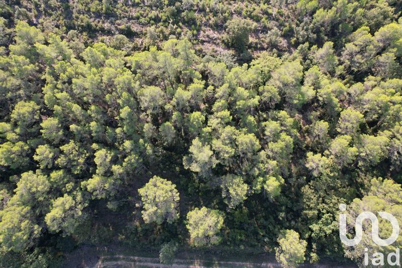 Terrain - 22 683 m²