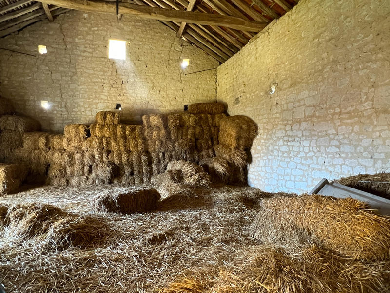 Ferme - 700 m² - 1 pièce