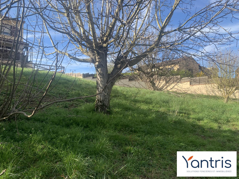 Terrain - 499 m²