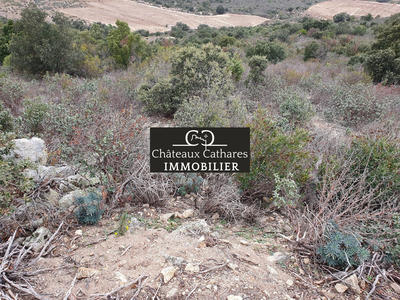 Terrain agricole - 31 187 m²