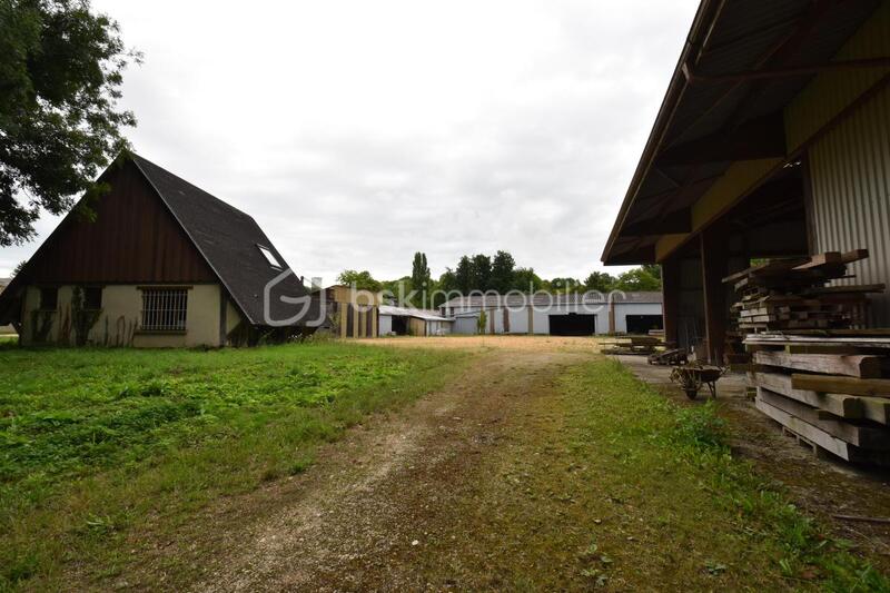 Local d'activité / Entrepôt - 2 600 m² - 10 pièces