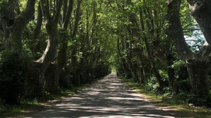 Gîte - 916 m² - 20 pièces