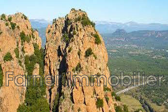 Fonds de commerce - Magasins - 218 m²