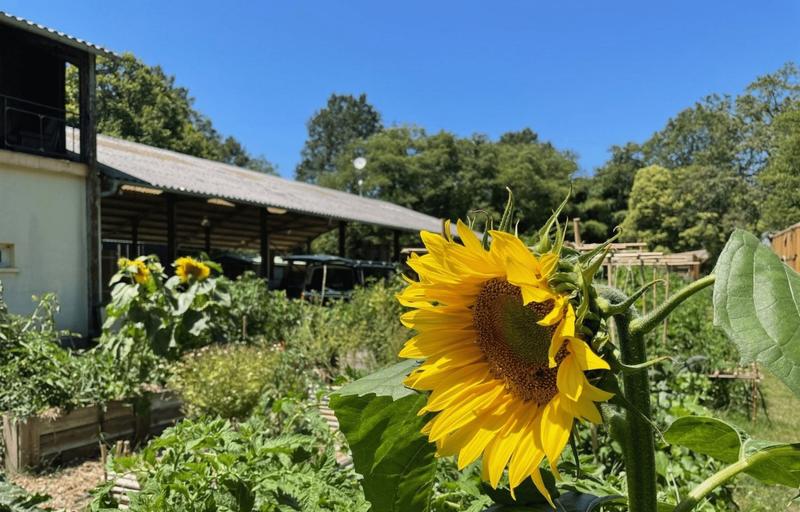 Maison - 232 m² - 7 pièces