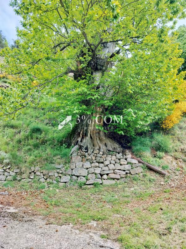 Propriété - 195 m² - 8 pièces