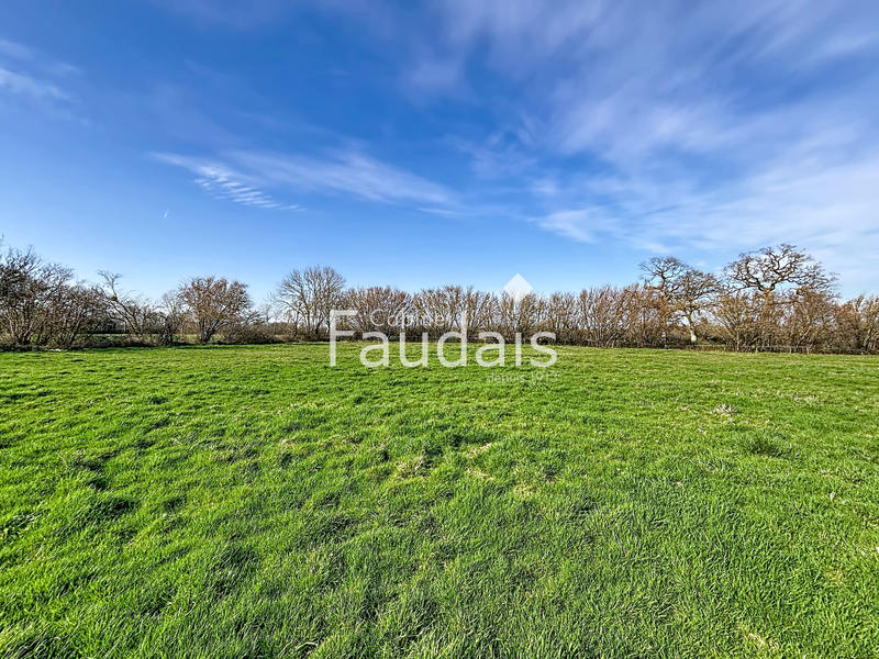 Appartement - 118 m² - 6 pièces