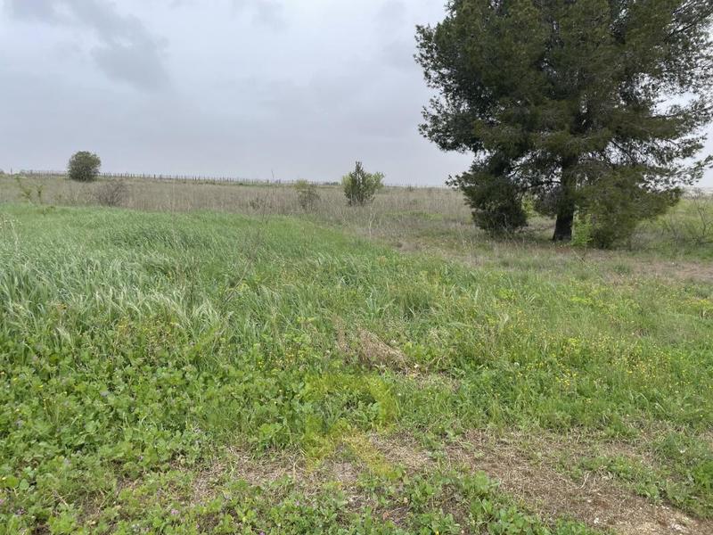 Terrain agricole - 4 800 m²