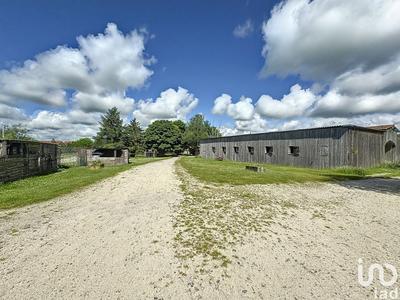 Local commercial - 800 m²