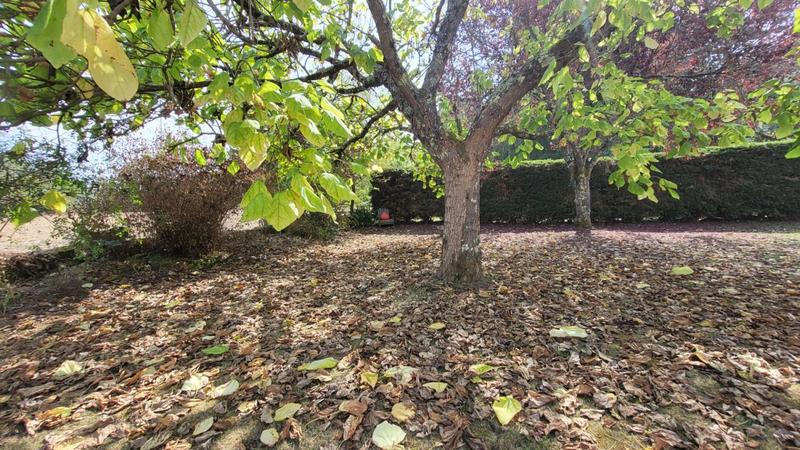 Maison - 175 m² - 8 pièces