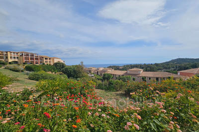 Appartement - 23 m² - 1 pièce