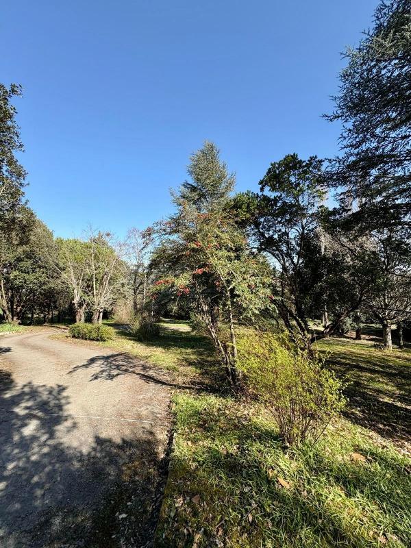 Maison d'architecte - 208 m² - 7 pièces