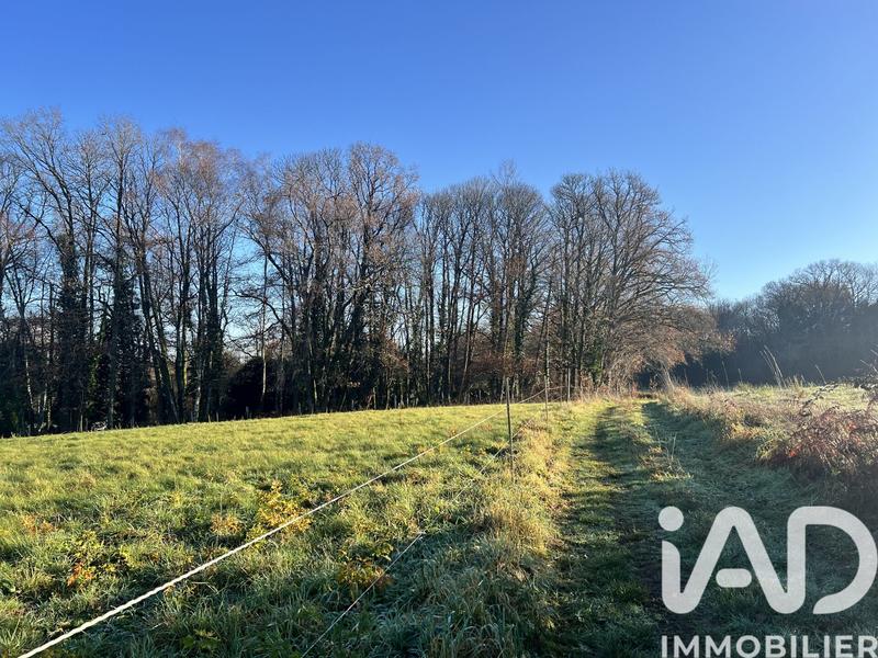 Terrain - 11 487 m²