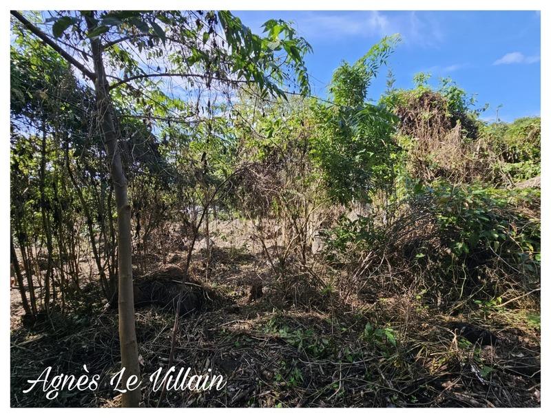 Terrain constructible - 1 041 m²