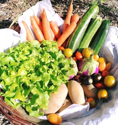 Marché Hebdomadaire la chapelle-d'Angillon