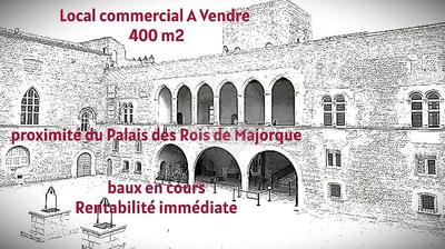 Local commercial - 400 m² - 7 pièces