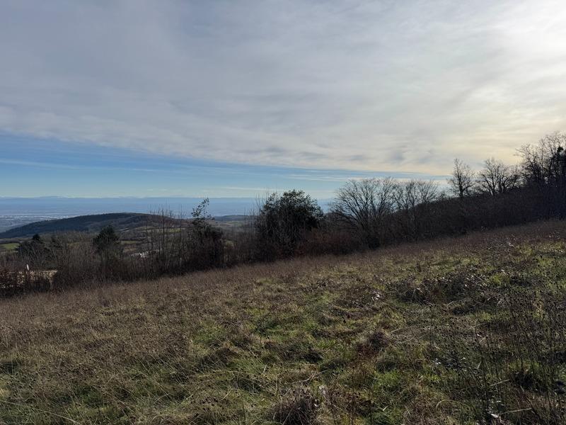 Terrain constructible - 3 009 m²