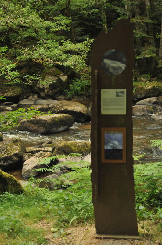 Visite guidée du musée Hôtel Lépinat