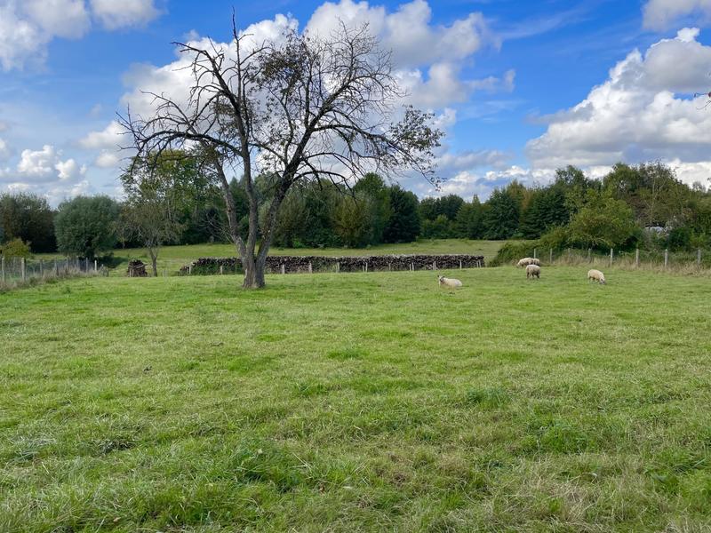 Maison ancienne - 100 m² - 4 pièces