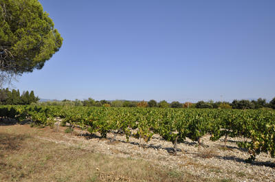 Propriété - 267 m² - 10 pièces