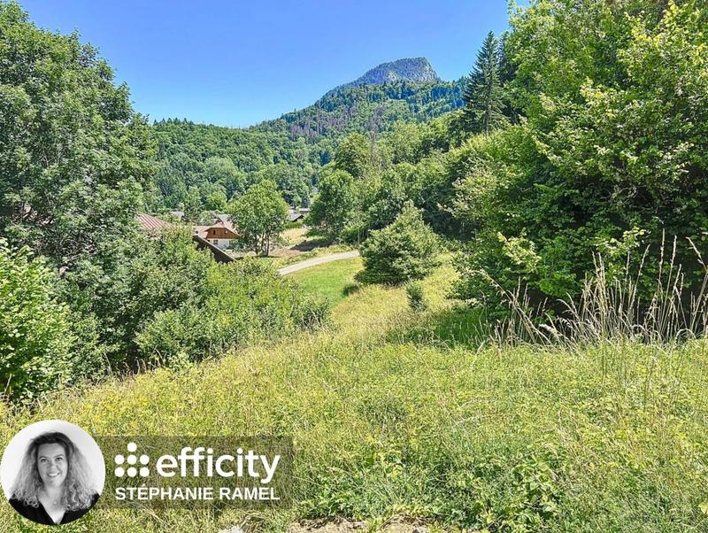 Terrain - 586 m²