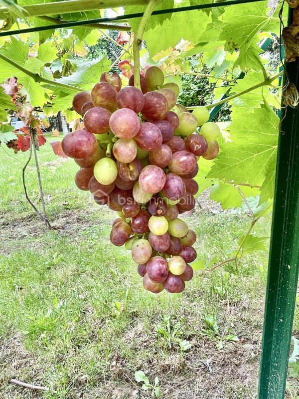 Villa - 365 m² - 9 pièces